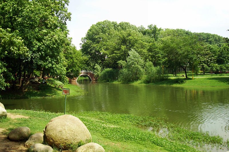 dsc 225.jpg