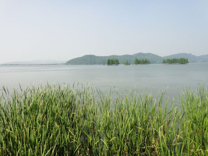 dsc00102.jpg