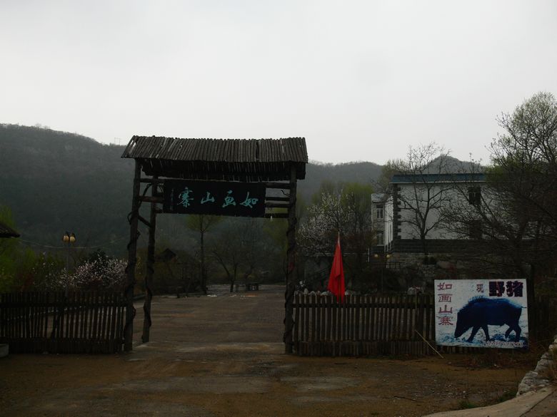 p1190987.jpg