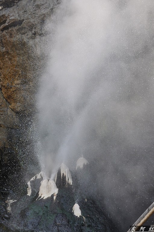 dsc_0252.jpg