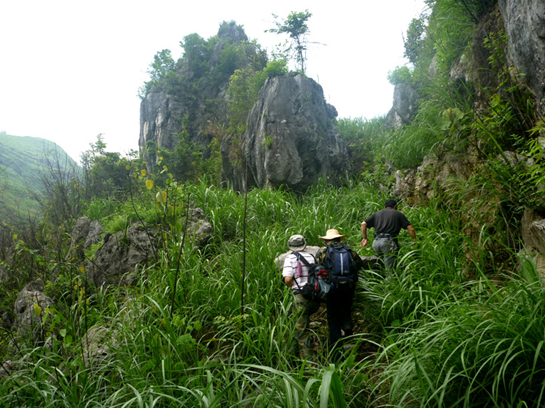 p1110595_.jpg