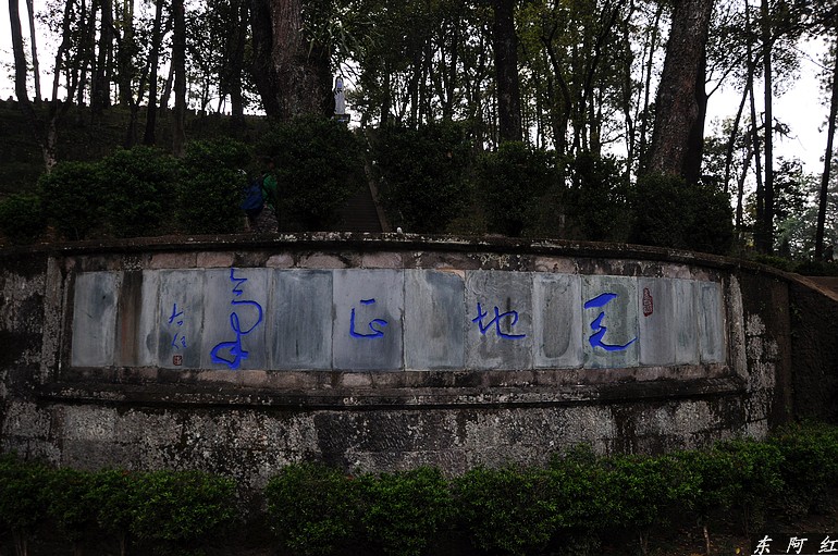 dsc_0339.jpg