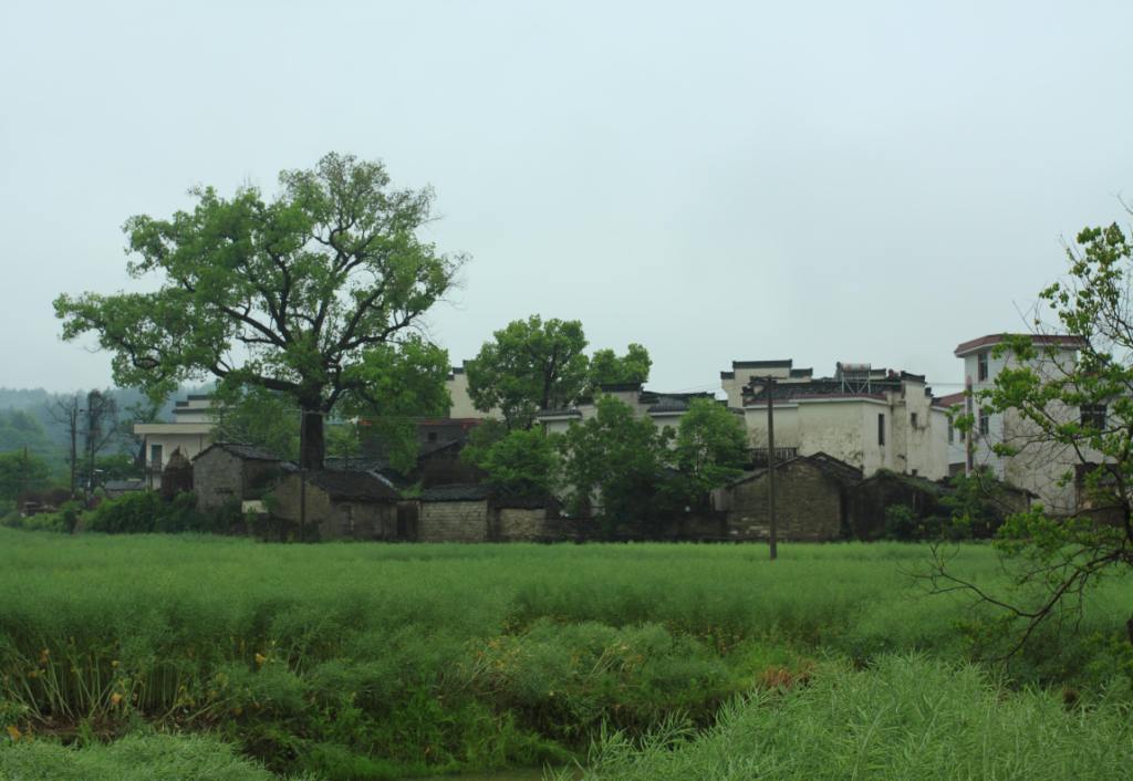 img_4424_1.jpg