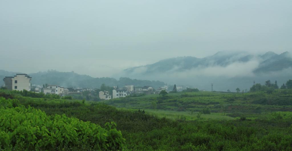 img_4428_1.jpg