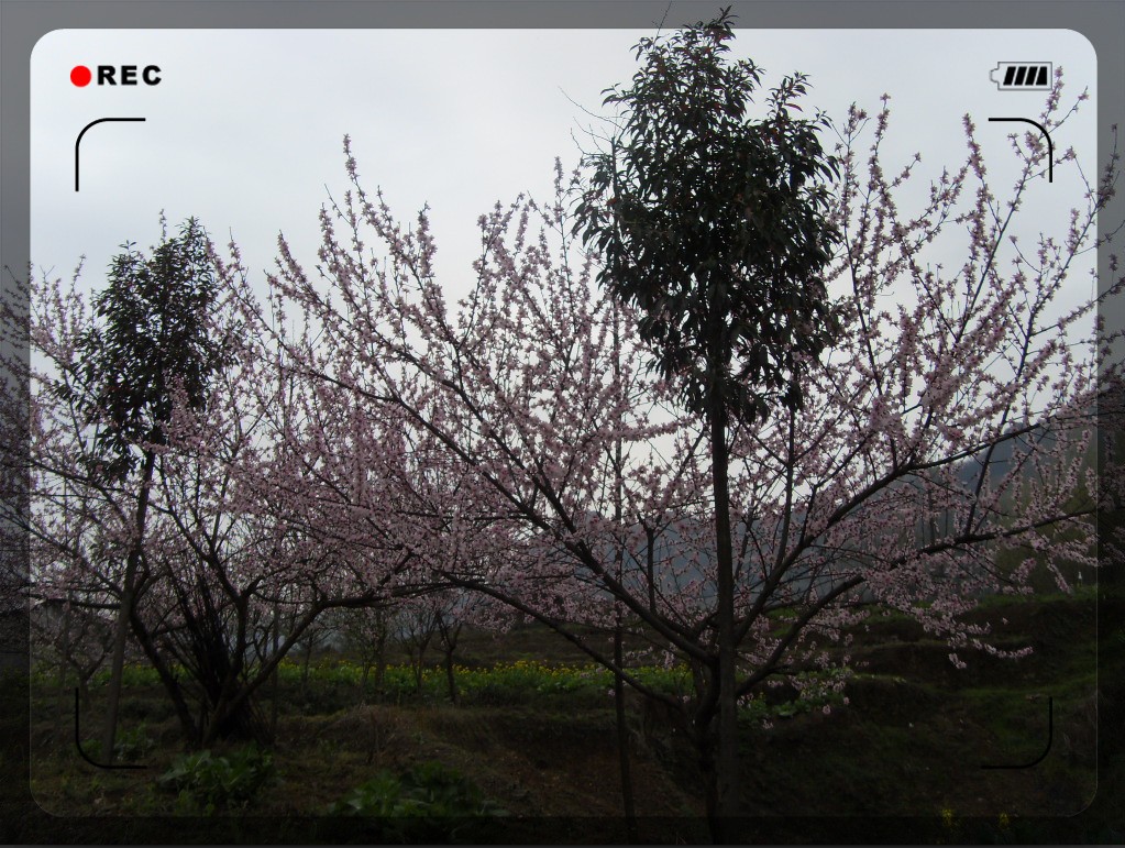 qqͼ20120502164545.jpg