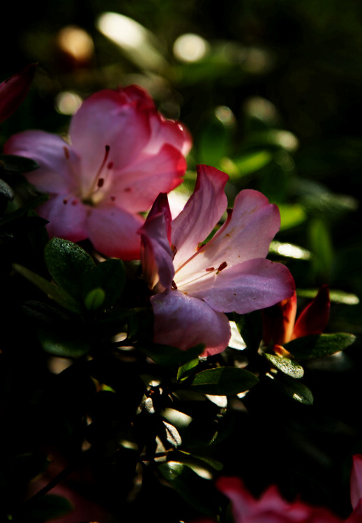 img_6901.jpg