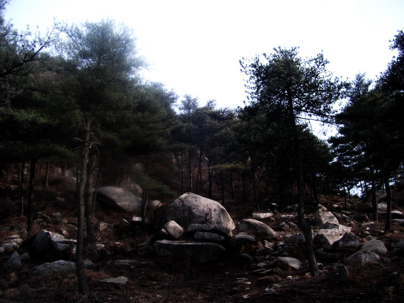 dscf0327.jpg