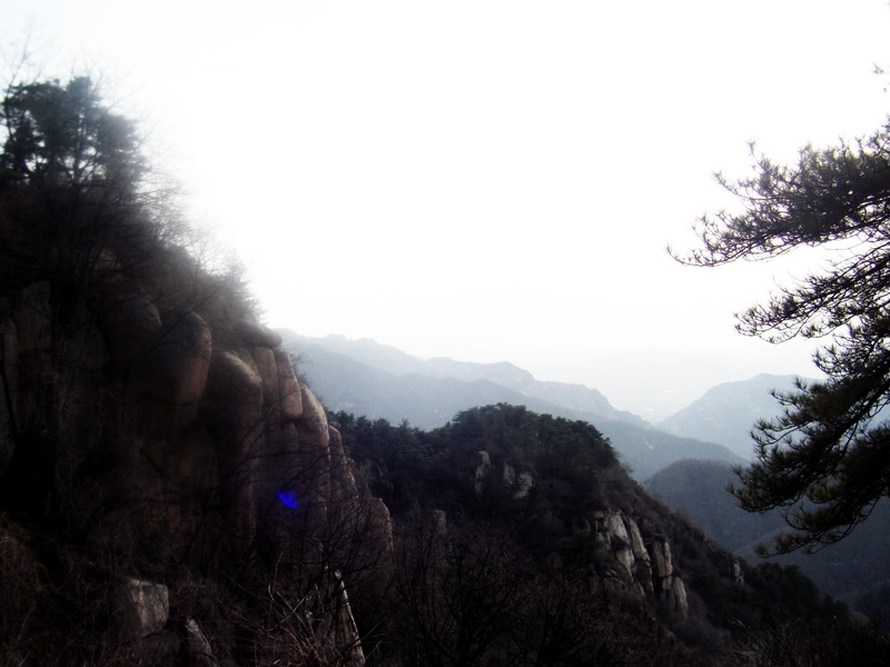 dscf0328.jpg