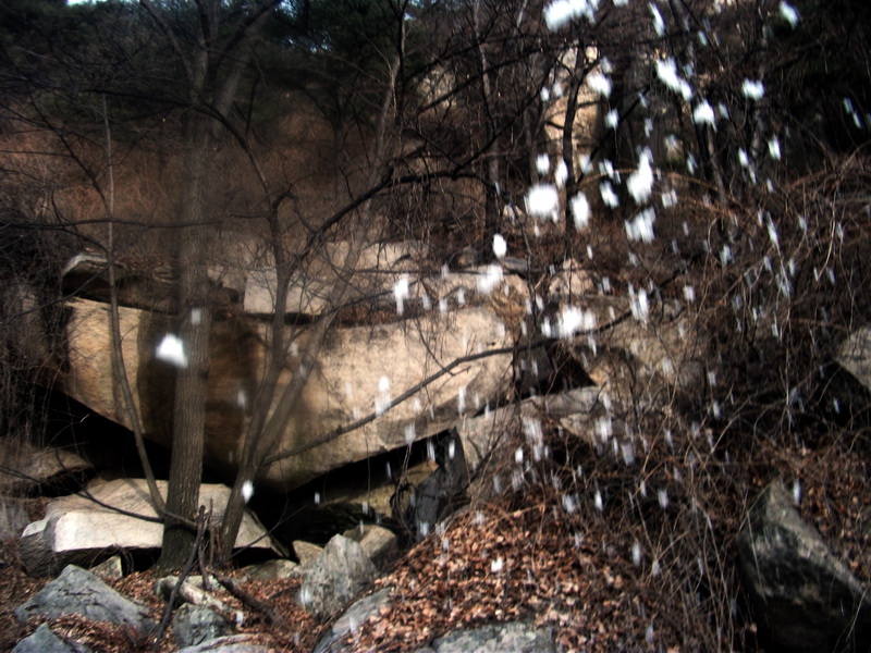 dscf0330.jpg