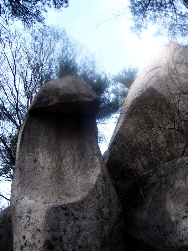 dscf0332.jpg