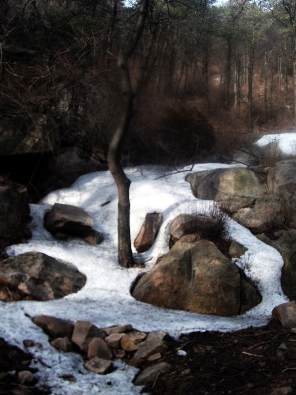 dscf0335.jpg