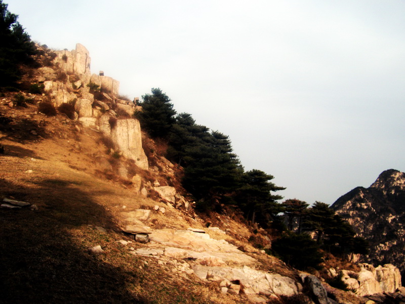 dscf0336.jpg