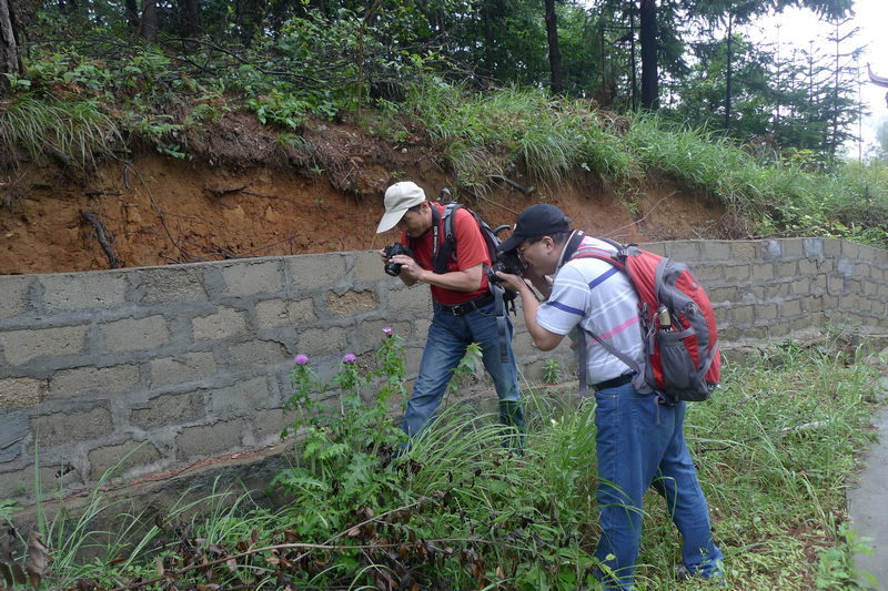 p1090066.jpg