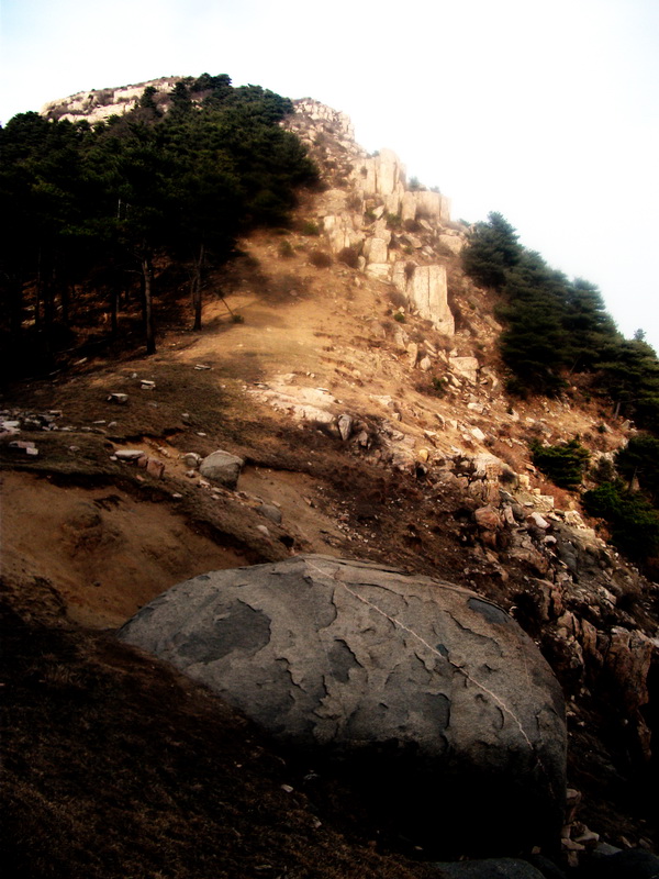 dscf0339.jpg