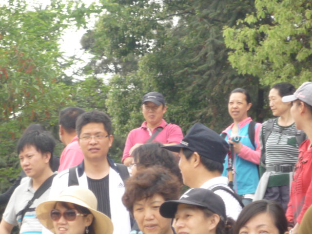p1040661.jpg