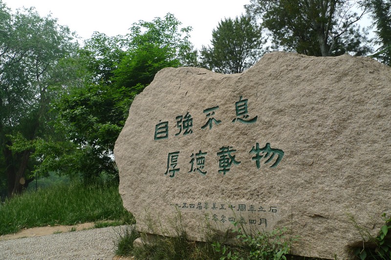p1130026.jpg