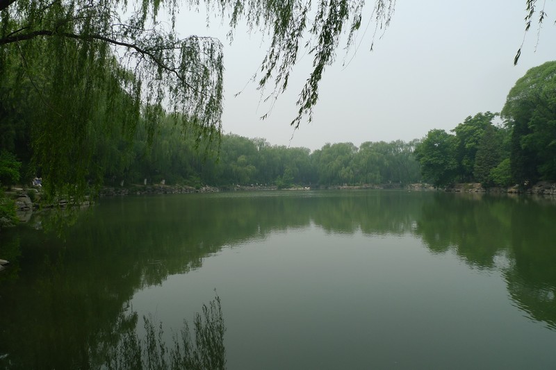 p1130013.jpg