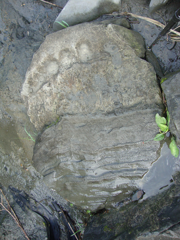 dsc09036_.jpg