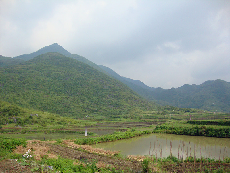 dsc09117_.jpg
