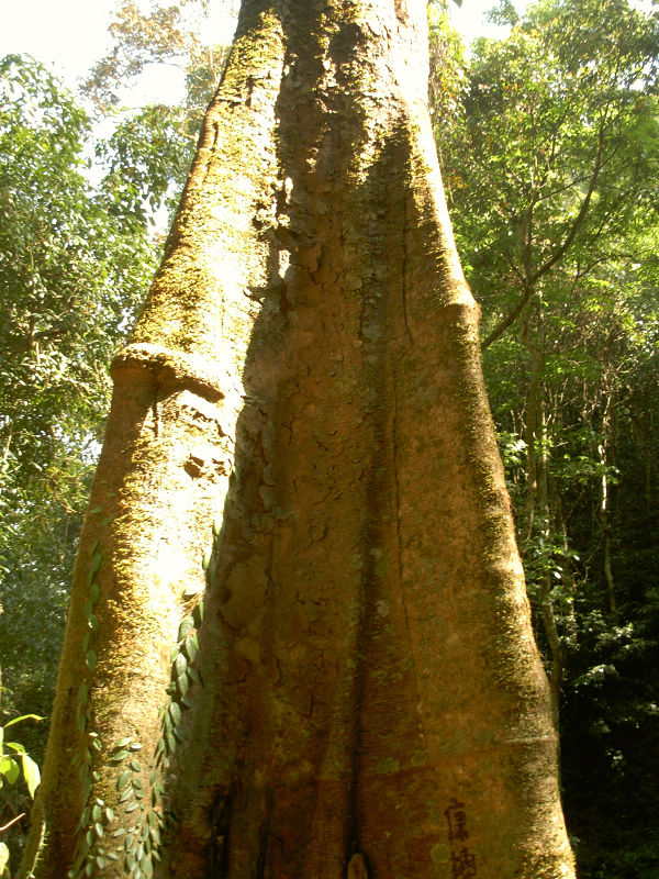 dscn1138.jpg