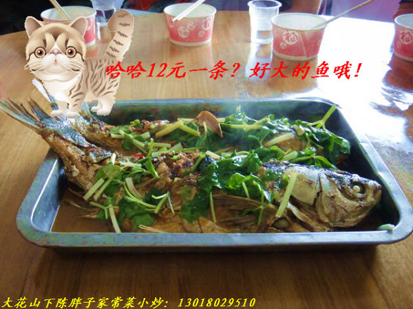 2011113013542111547.jpg