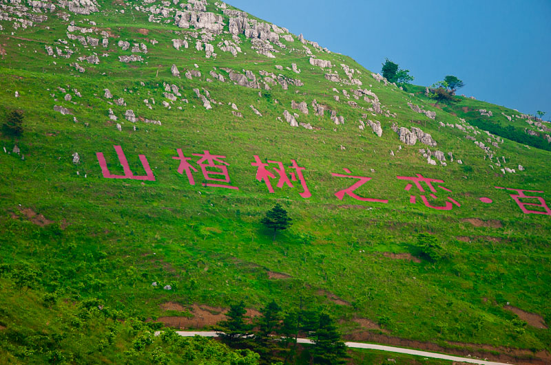 dsc_0165-1.jpg