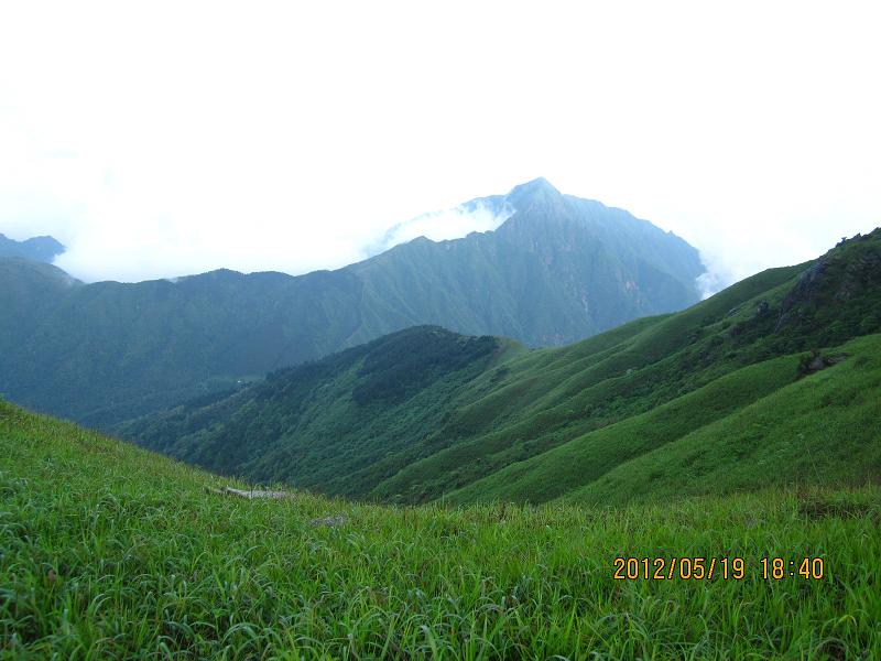 img_1137.jpg