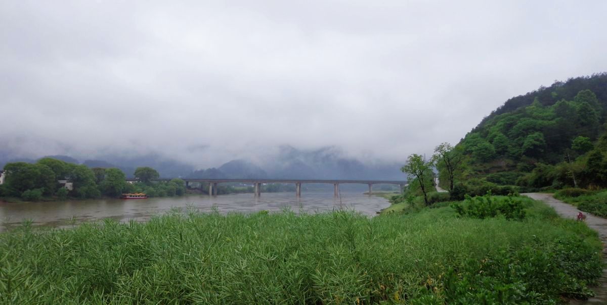 dsc00677a.jpg