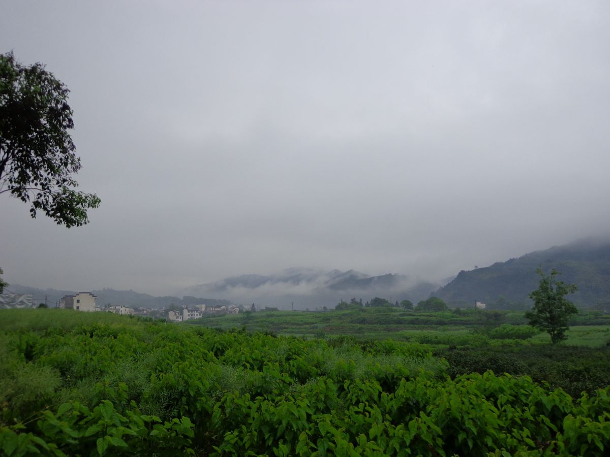 dsc00691a.jpg