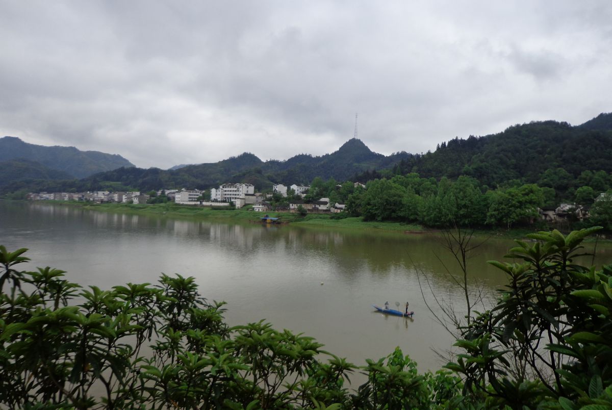 dsc00730a.jpg