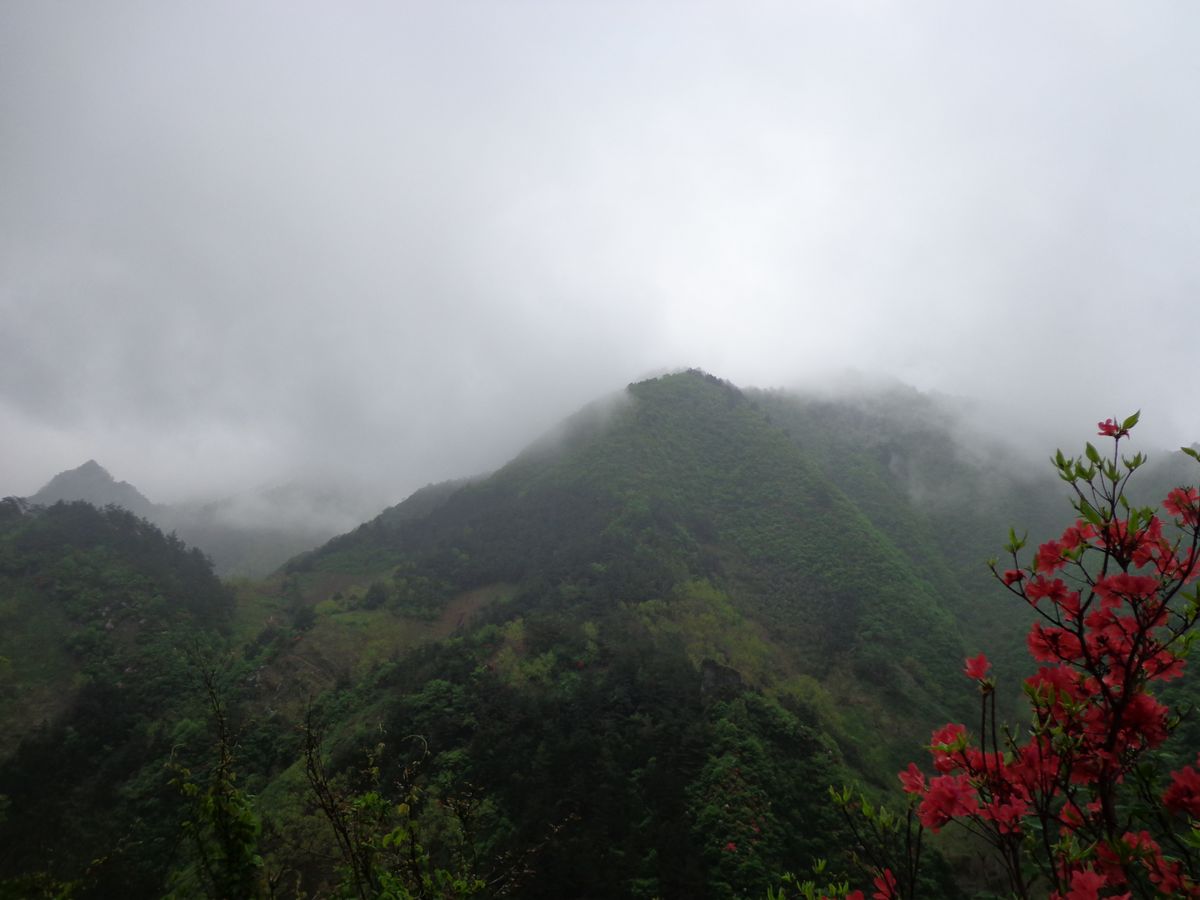 dsc00847a.jpg