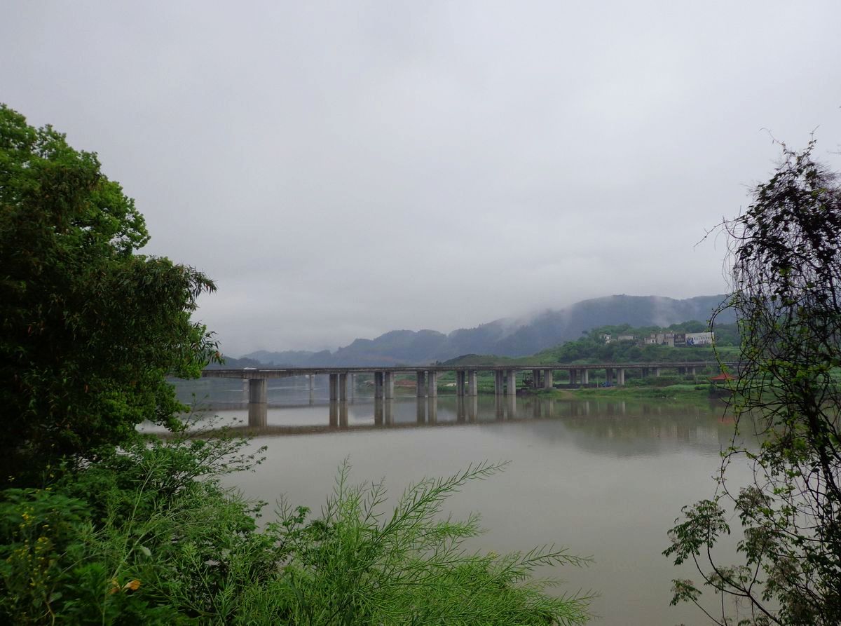 dsc00722a.jpg