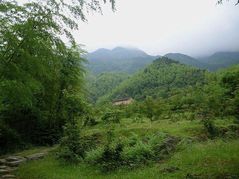dscn0262_.jpg