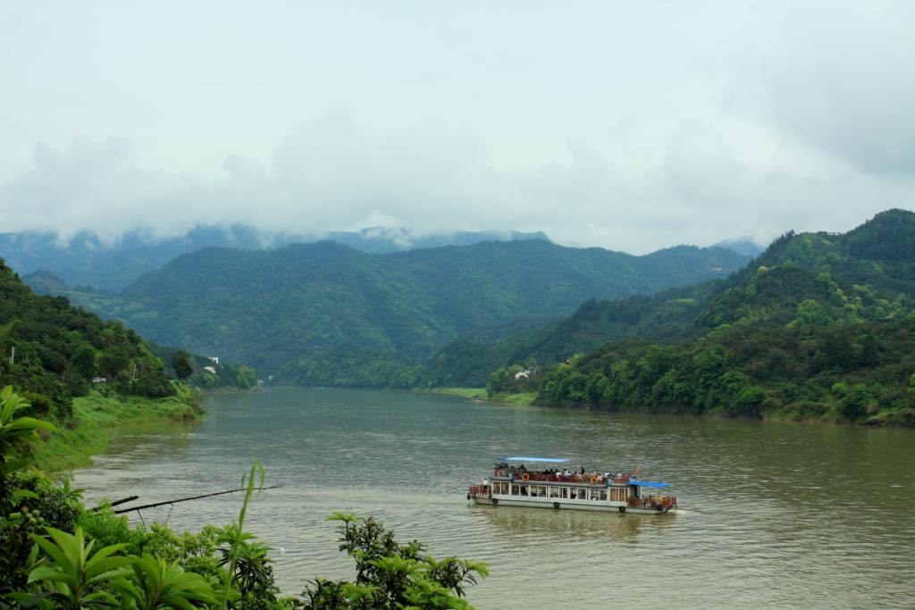 img_4484_1.jpg