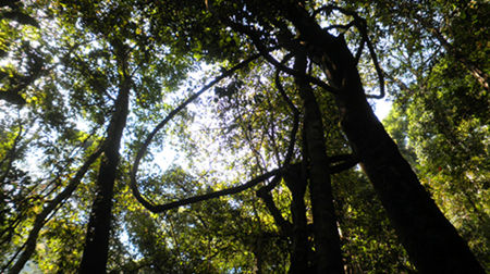 p3181409_.jpg