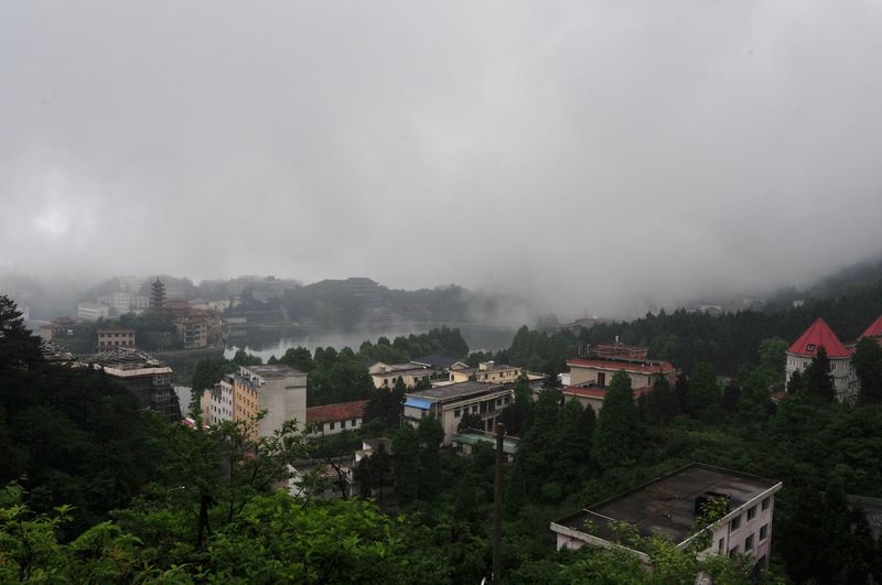 dsc_4499.jpg