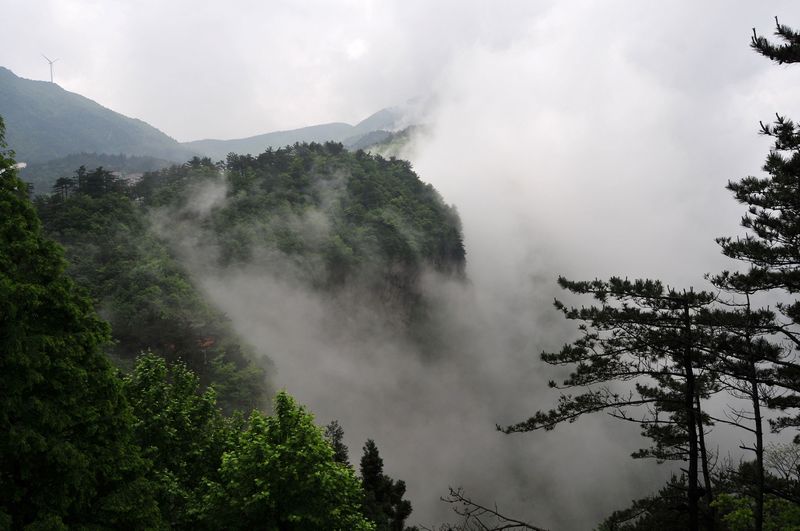 dsc_4546.jpg