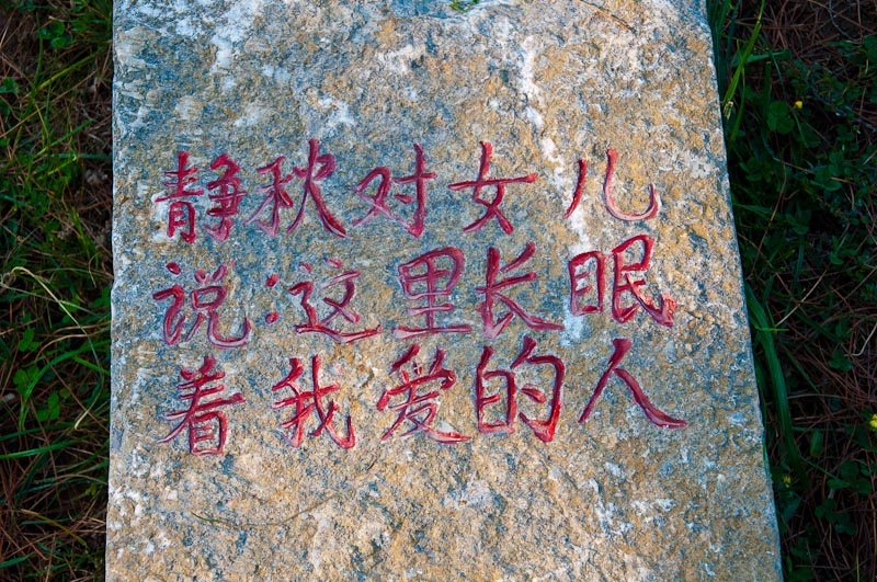 dsc_0211-1.jpg