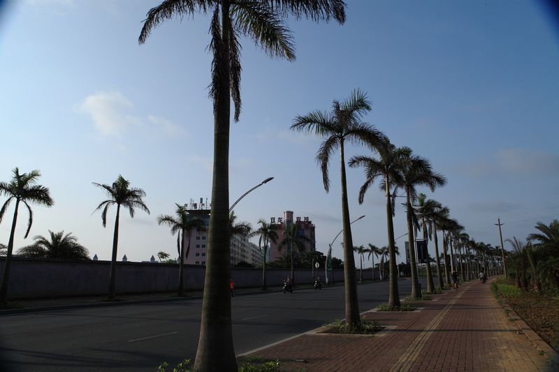 _mg_6336.jpg