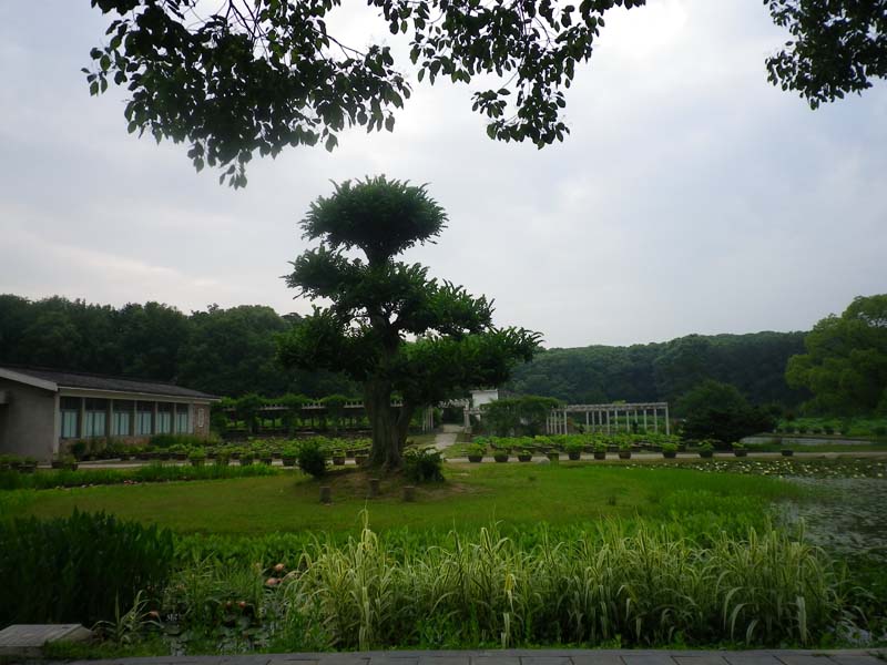 imgp3327.jpg