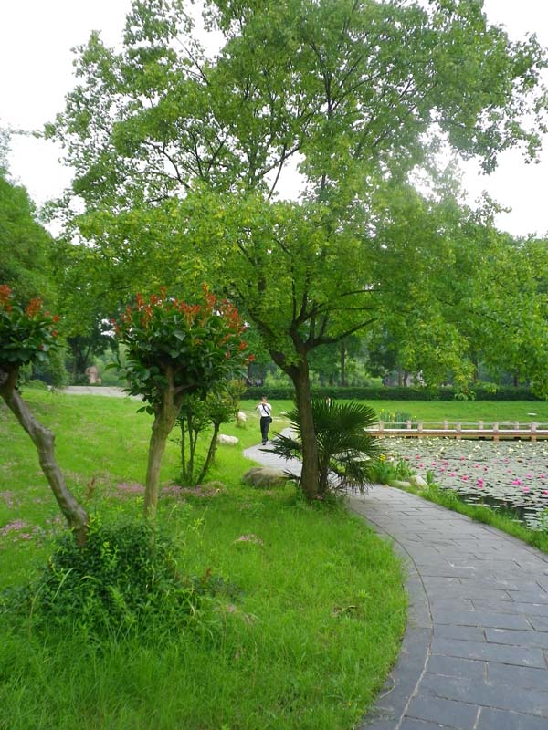 imgp3329.jpg