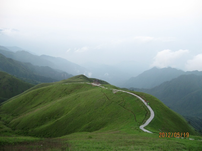 conew_img_4999.jpg