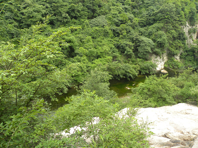 dscn9308_.jpg
