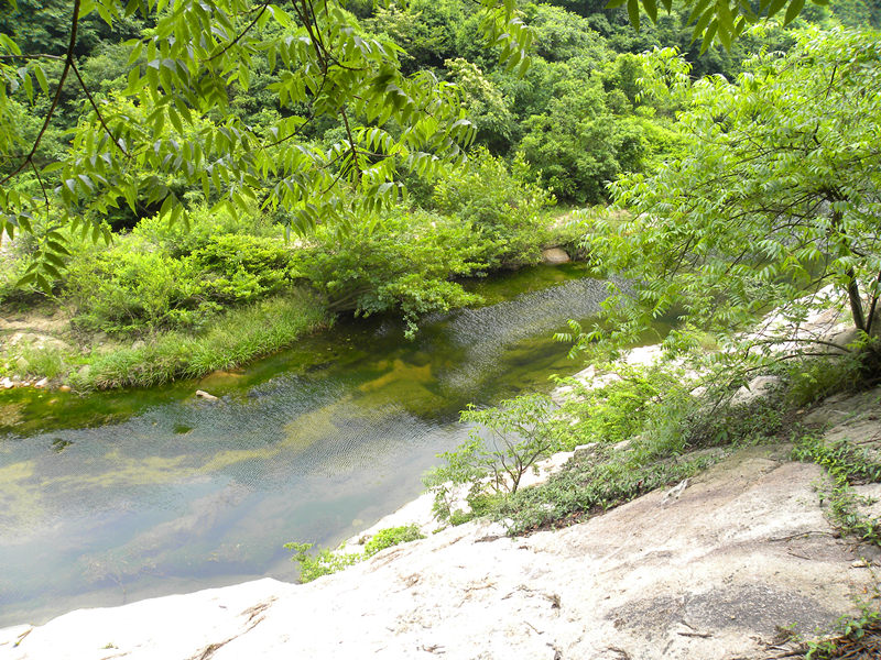 dscn9310_.jpg