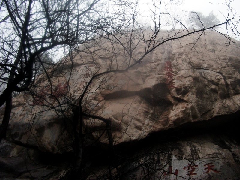 dscf0229.jpg