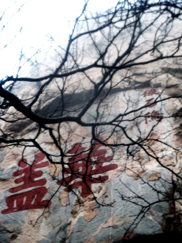 dscf0231.jpg