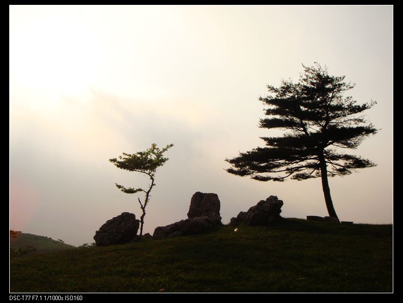 neo_img_dsc05202.jpg