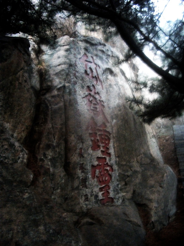 dscf0239.jpg