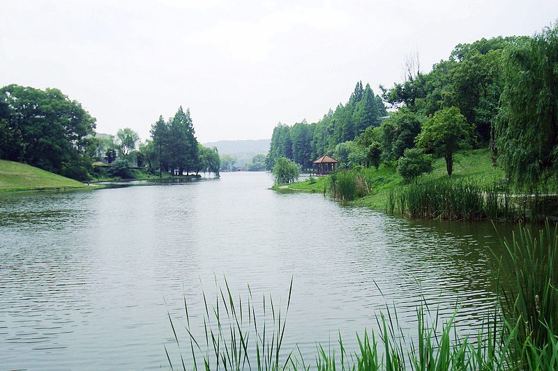 dsc00255.jpg