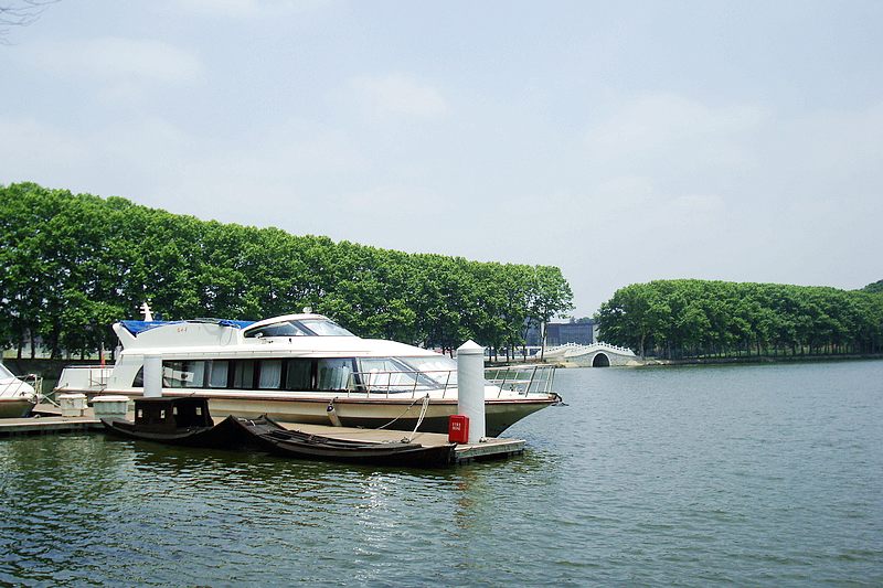 dsc00294.jpg